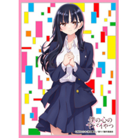 Chara Sleeve Matte No. MT1992 (Yamada Anna B)