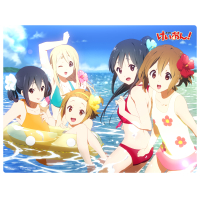 Large Rubber Mat (Swimwear)