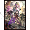 Chara Sleeve Matte No. MT2446 (Adahime, Anathema of Death)