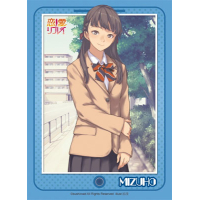 Sleeve Collection HG Vol.461 (Saga Mizuho)