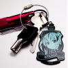 Silica Emblem Key Holder