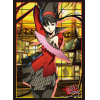 Sleeve Collection HG Vol.515 (Amagi Yukiko)