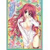 Chara Sleeve No.196 (Nitou Kirika)