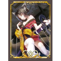 Visual Sleeve Collection Vol.5 (Murakumo Kokko)