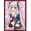 Sleeve Collection HG Vol.587 (Erina Olegovna Aveen)