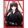 Sleeve Collection HG Vol.588 (Natsuno Kirihime)