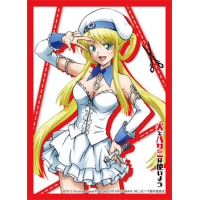 Sleeve Collection HG Vol.591 (Akizuki Maxi)