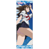 Niimi Haruka Anime Edition Sports Towel