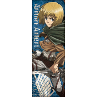 Armin Sports Towel 