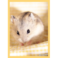 Hybrid Sleeve (Hamster)