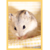 Hybrid Sleeve (Hamster)