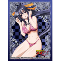 Chara Sleeve Matte No.MT018 (Himejima Akeno)