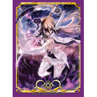 Visual Sleeve Collection Vol.11 (Mekkon no Megami Astaroth)