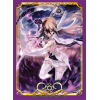 Visual Sleeve Collection Vol.11 (Mekkon no Megami Astaroth)