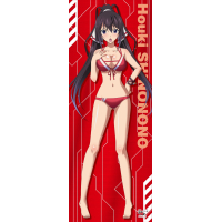 Shinonono Houki Kirakira Tapestry