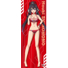 Shinonono Houki Kirakira Tapestry