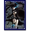 HG Sleeve Vol.16 (Black Rock Shooter)