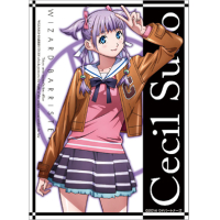 Character Sleeve EX (Sudo Cecil)