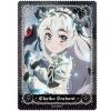 Chaika Trabant Cleaner Cloth