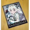 Chaika Trabant Cleaner Cloth