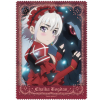 Chaika Bohdan Cleaner Cloth