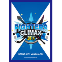 Fighters Climax 2014 Sleeve