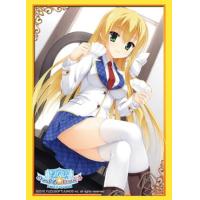 Sleeve Collection HG Vol.700 (Kanemoto Akari)