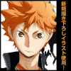 Hinata Shoyo Big Towel