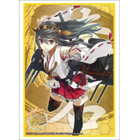 Sleeve Collection HG Vol.784 (Haruna)