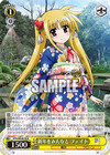 新年をみんなと フェイト