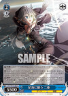 星海に願う 二亜