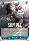 星海に願う 二亜