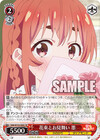 花束とお見舞い 墨