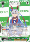 “宣戦布告”タマモクロス