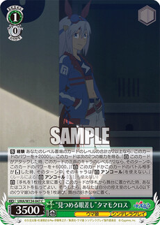 “見つめる眼差し”タマモクロス