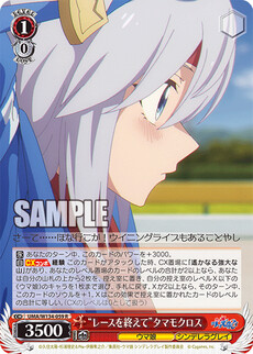 “レースを終えて”タマモクロス