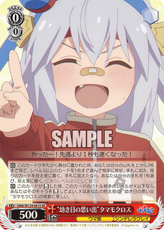 “幼き日の思い出”タマモクロス