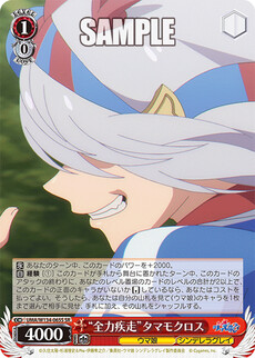 “全力疾走”タマモクロス