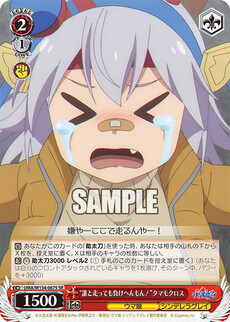 “誰と走っても負けへんもん！”タマモクロス