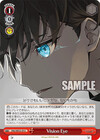 Vision Eye