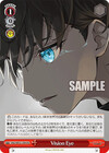Vision Eye