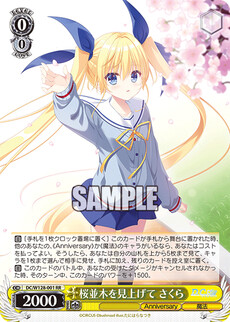 桜並木を見上げて さくら