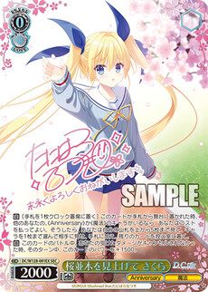 桜並木を見上げて さくら