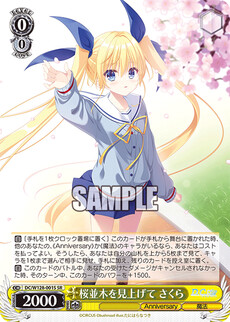 桜並木を見上げて さくら