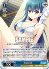 水着の萌