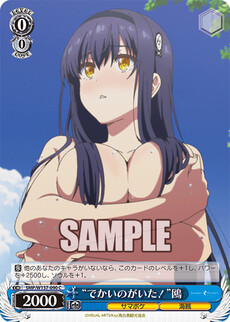 “でかいのがいた！”鴎