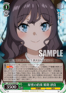 秘密の約束 姫路 紗良