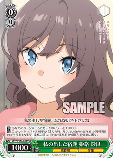 私の出した宿題 姫路 紗良