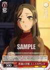 普通の洋服 ミニスカサンタ