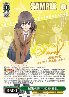 秘密の約束 姫路 紗良